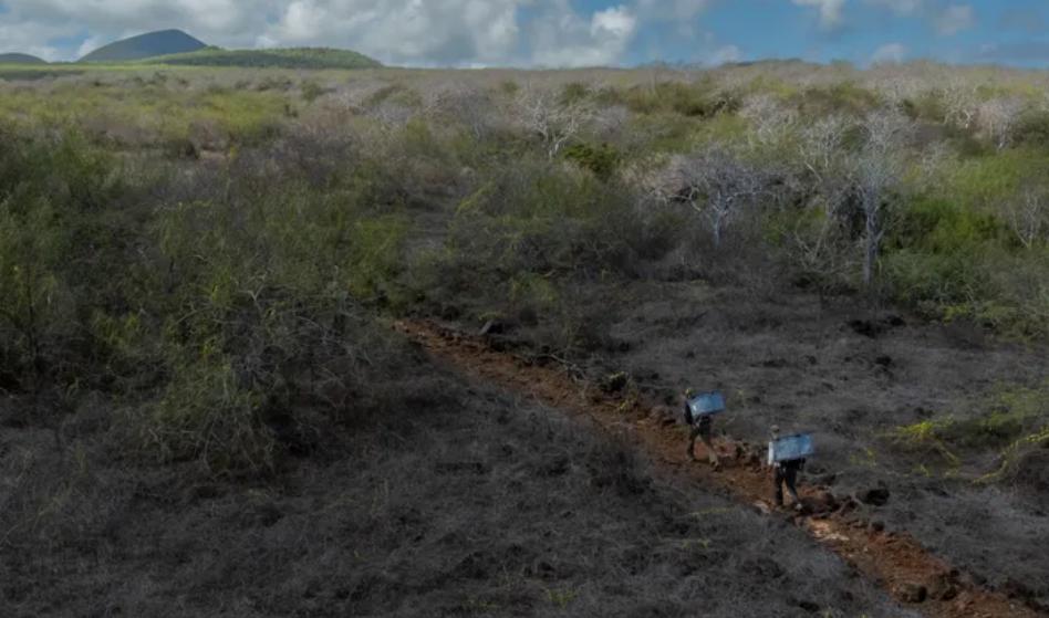 Para transportar estas tortugas a su nuevo hábitat, el personal del parque coloca de dos a ...